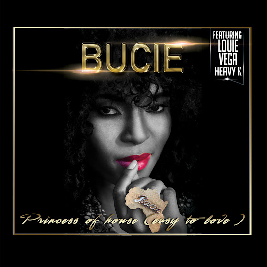 Bucie is leaving the music industry